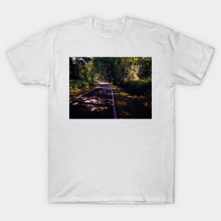 Tree forest landscape photography T-Shirt